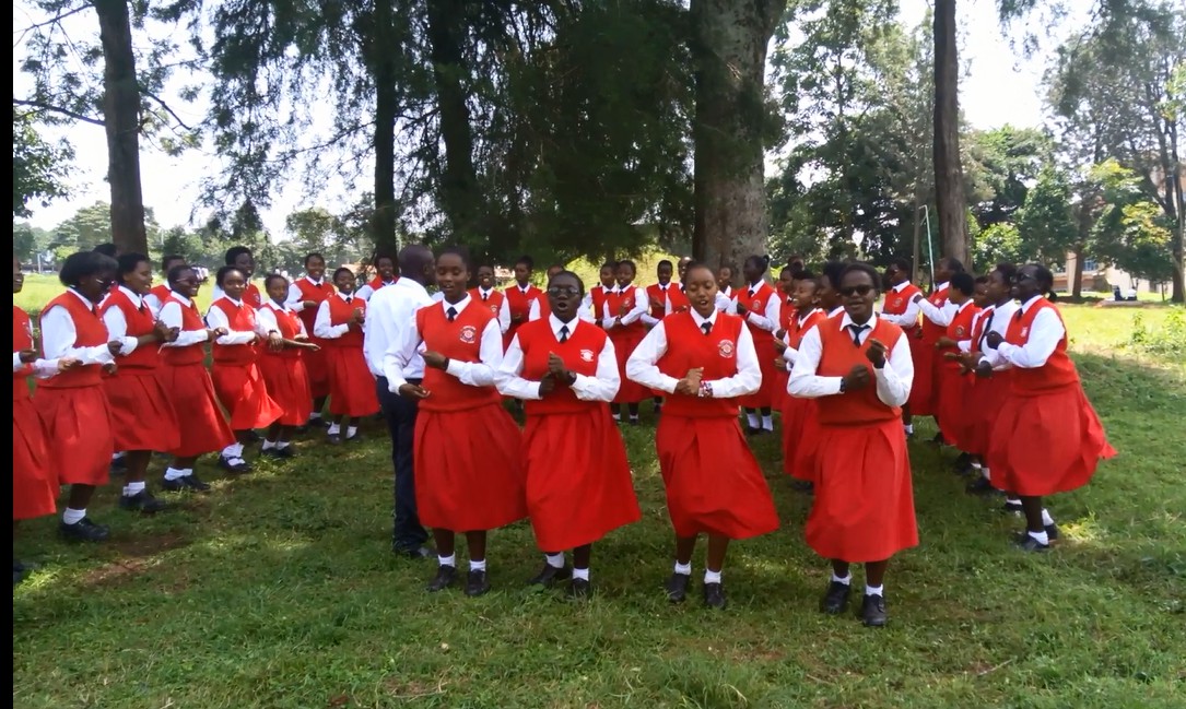 The School Captain